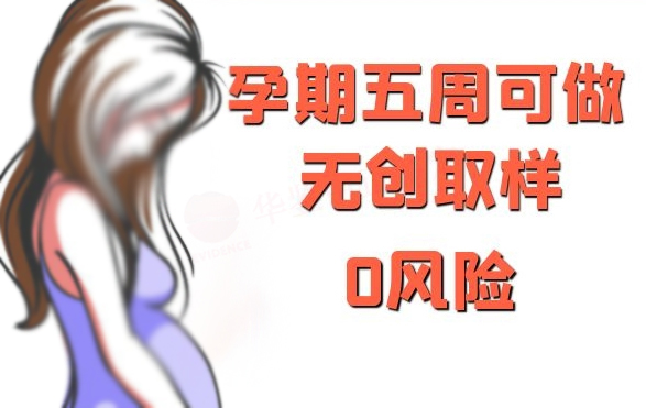 杭州怀孕45天如何办理无创孕期亲子鉴定,杭州办理无创孕期亲子鉴定大概多少费用 杭州怀孕45天如何办理无创孕期亲子鉴定,杭州办理无创孕期亲子鉴定大概多少费用